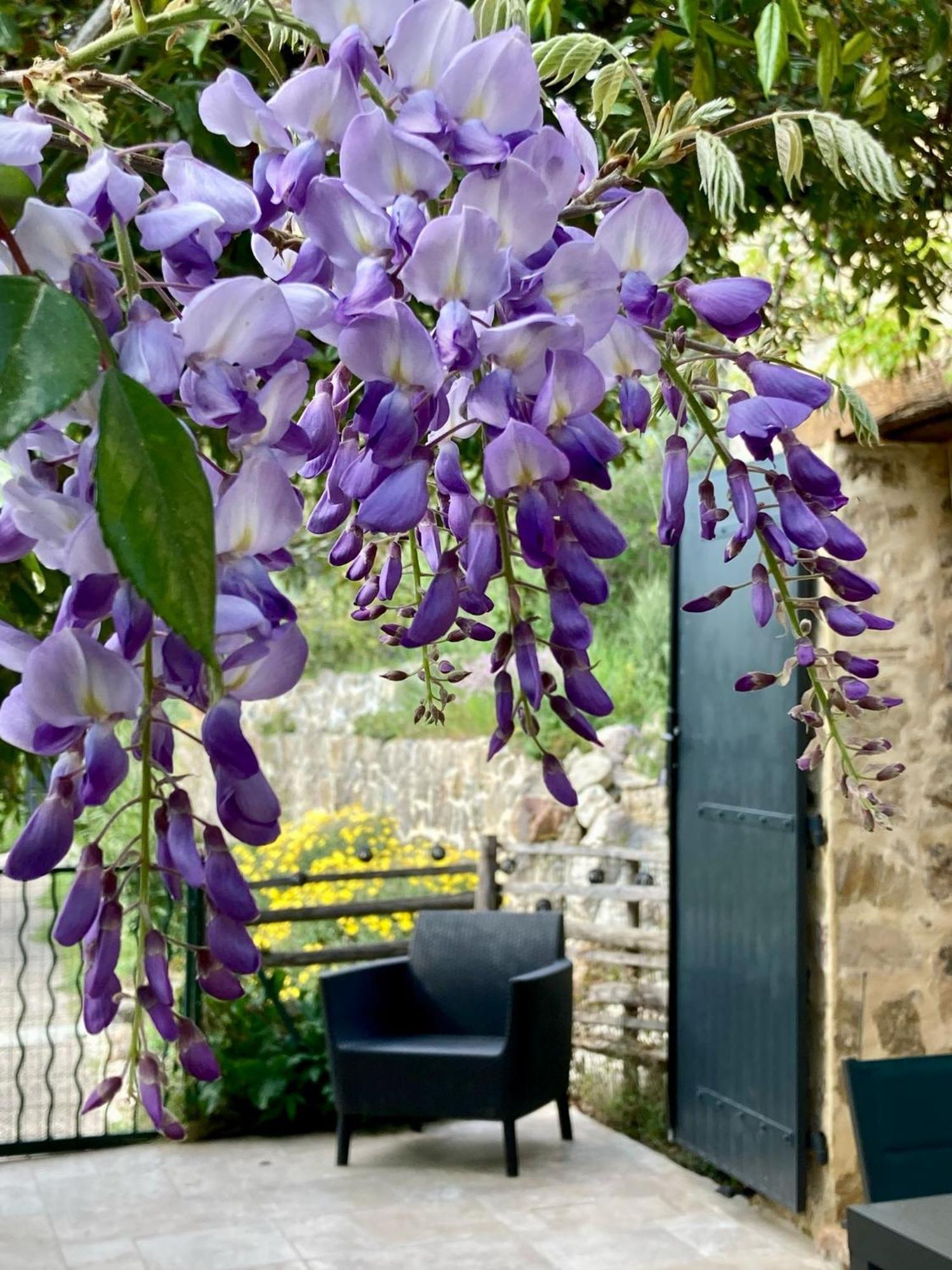 Les Genets Villa Fayence Dış mekan fotoğraf